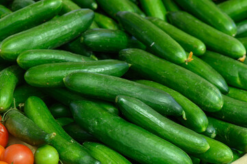 Fresh green cucumbers stacked together under natural light in a vibrant marketplace showcasing local produce