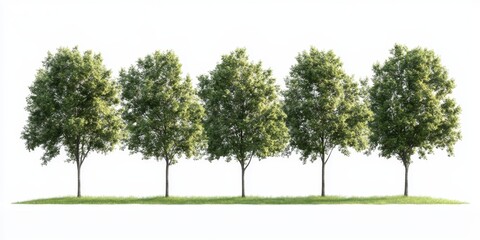 Row of  trees on a grassy plain