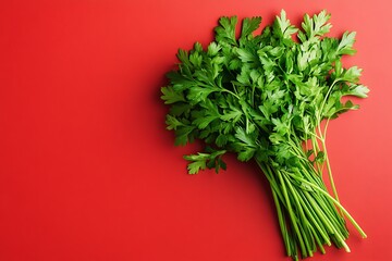 parsley alone on deep red backdrop overhead shot
