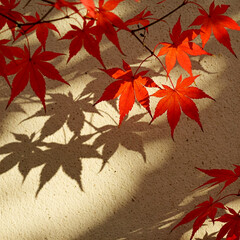 red maple leaves on grey wall with shadows