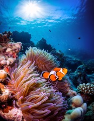a colorful coral reef with clownfish swimming among the anemones