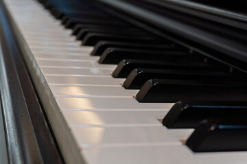 A view of the piano keys from a low angle showing the curve of the keyboard.