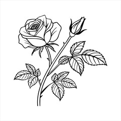rose line art with rose icon
