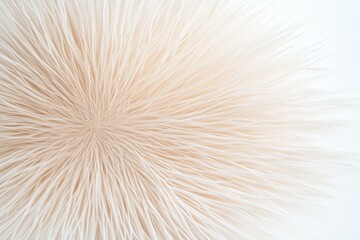 Abstract textile design with soft, beige fibers creating a fluffy, textured background ideal for eco friendly or minimalistic concepts