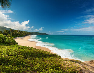 Generated image　夏の海の風景