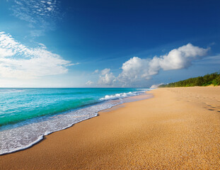 Obraz premium Generated image 夏の海の風景