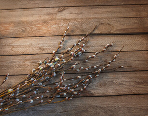 Willow branches with catkins  on a wooden table.