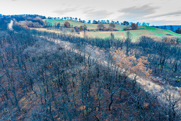Wildfire devastating forest in legarda, navarre, spain, causing environmental damage