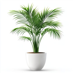 Fototapeta premium lush green palm plant in modern white pot, adding fresh touch to any space. Perfect for home or office decor