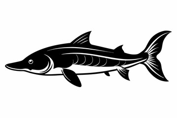 sturgeon freshwater fish line art silhouette vector illustration