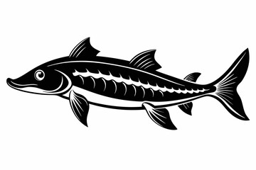sturgeon freshwater fish line art silhouette vector illustration