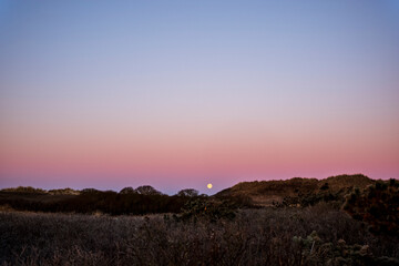 Moonset over the heath
