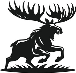 Moose with antlers tilted forward and preparing to attack vector