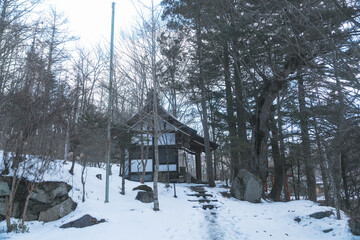 雪が残る忍野八海