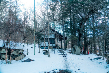 雪が残る忍野八海