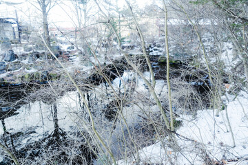 雪が残る忍野八海