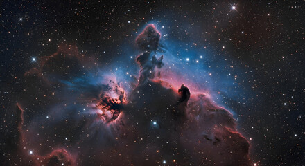 Obraz premium Horse Shoe Nebula