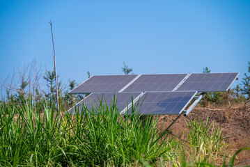 Solar powered panels are installed in farmlands or fields or farmsSolar powered panels are...