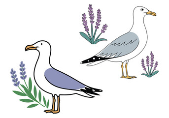 Seagull Lavender Vectors: Coastal Bird Art - Download Unique Set