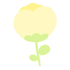 노란 꽃