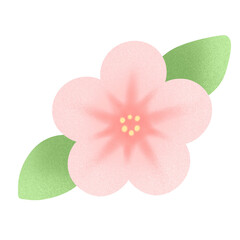 벚꽃