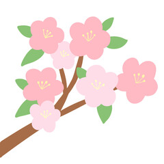 벚꽃