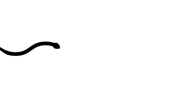 Black silhouette of a snake smoothly slithers onto the screen, emerging from the side. Minimalist reptile animation.