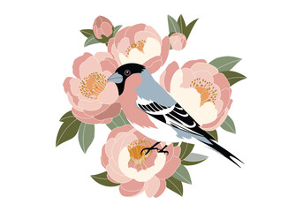 Bullfinch Illustration: Bird with Peony Flowers - Get Vector Art