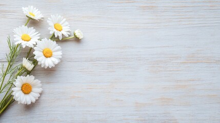 Obraz premium Fresh daisies on soft textured surface, delicate white flowers with yellow centers, perfect for spring themes or floral designs.