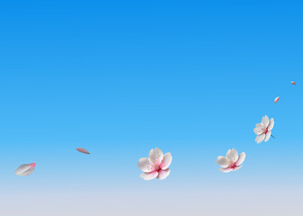 風に舞う桜の花のメッセージカード背景素材