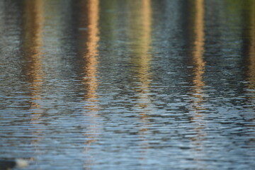 Versatile Lake Surface Image: Perfect for a Multitude of Creative Projects. This high-quality photograph captures the subtle beauty of a lake's surface, Use it as a background for websites