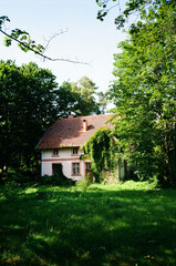 An old abandoned house covered in greenery, located in the Kaliningrad region, Russia. A quiet and mysterious countryside scene.