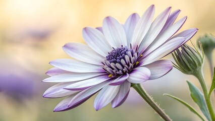 Purple-Tipped Flower: A close-up of a beautiful flower with delicate purple-tipped petals, blooming in the gentle sunlight, evokes a sense of serenity and natural beauty.
