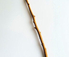 Obraz premium A thin, brown branch is shown on a white background