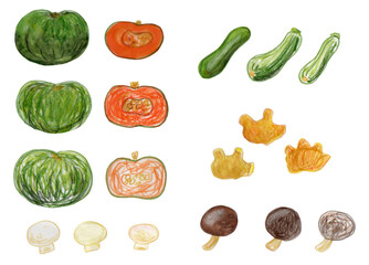 野菜, かぼちゃ, マッシュルーム, 生姜, 椎茸 ズッキーニ, 水彩, 色鉛筆, 手描き