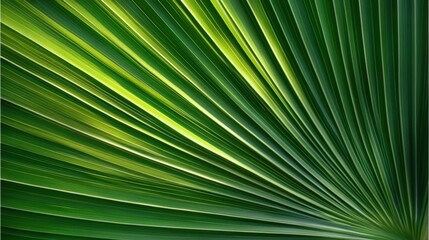 A vibrant green palm leaf displaying intricate lines, showcasing nature's beauty and texture in a close-up view.