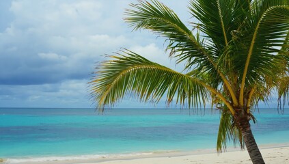 Fototapeta premium Palm Tree Paradise: A serene view of a palm tree with lush green fronds framing a picturesque tropical beach, featuring crystal-clear turquoise waters and a partially cloudy sky.