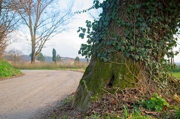 Naklejka premium Umbria Italy countryside in Autumn