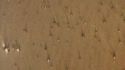 Malgund beach texture, Maharashtra, India
