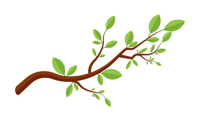 tree brunch with leaves cartoon spring summer illustration clipart
