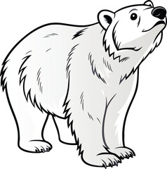 vector illustration of a bear