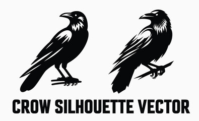 Detailed Crow Silhouette Vector Illustration – Bold Bird Design