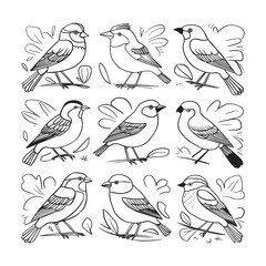Fototapeta premium Adobe Coloring Bird Book Page Design. designed for kids to coloring Page and enjoy. Artwork