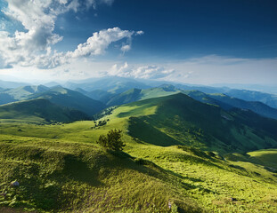 Obraz premium Generated image 夏の高原