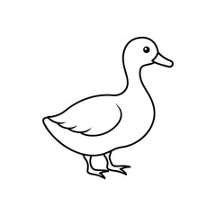 Duck line art vector illustration 
