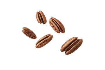Obraz premium Pecans falling and rotating slightly as they drop isolated on white background