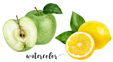 Hand-Painted Watercolor Green Apple and Lemon Botanical Illustration Isolated on White