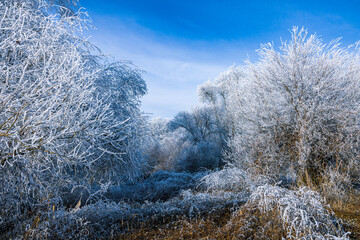 Frostiger Tag Sonnenaufgang an der Isar Deutschland