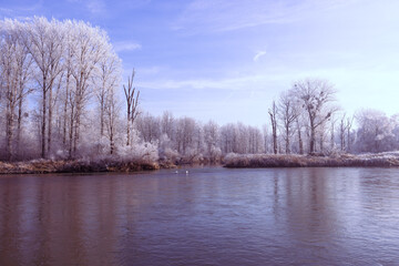  Sonnenaufgang am Wintertag an der Isar Deutschland