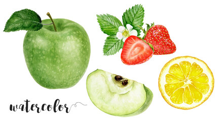 Hand-Painted Watercolor Green Apple, Strawberry, and Orange Slice Botanical Illustration Isolated on White